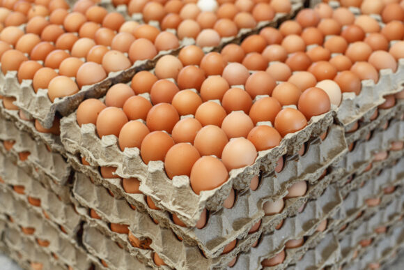 Savenda Farming eggs